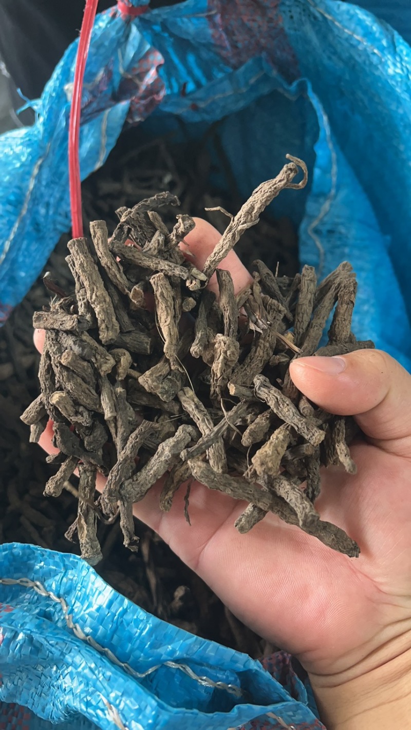 干货野生仙茅大量有货找有销量的客户大量