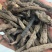 干货野生仙茅大量有货找有销量的客户大量