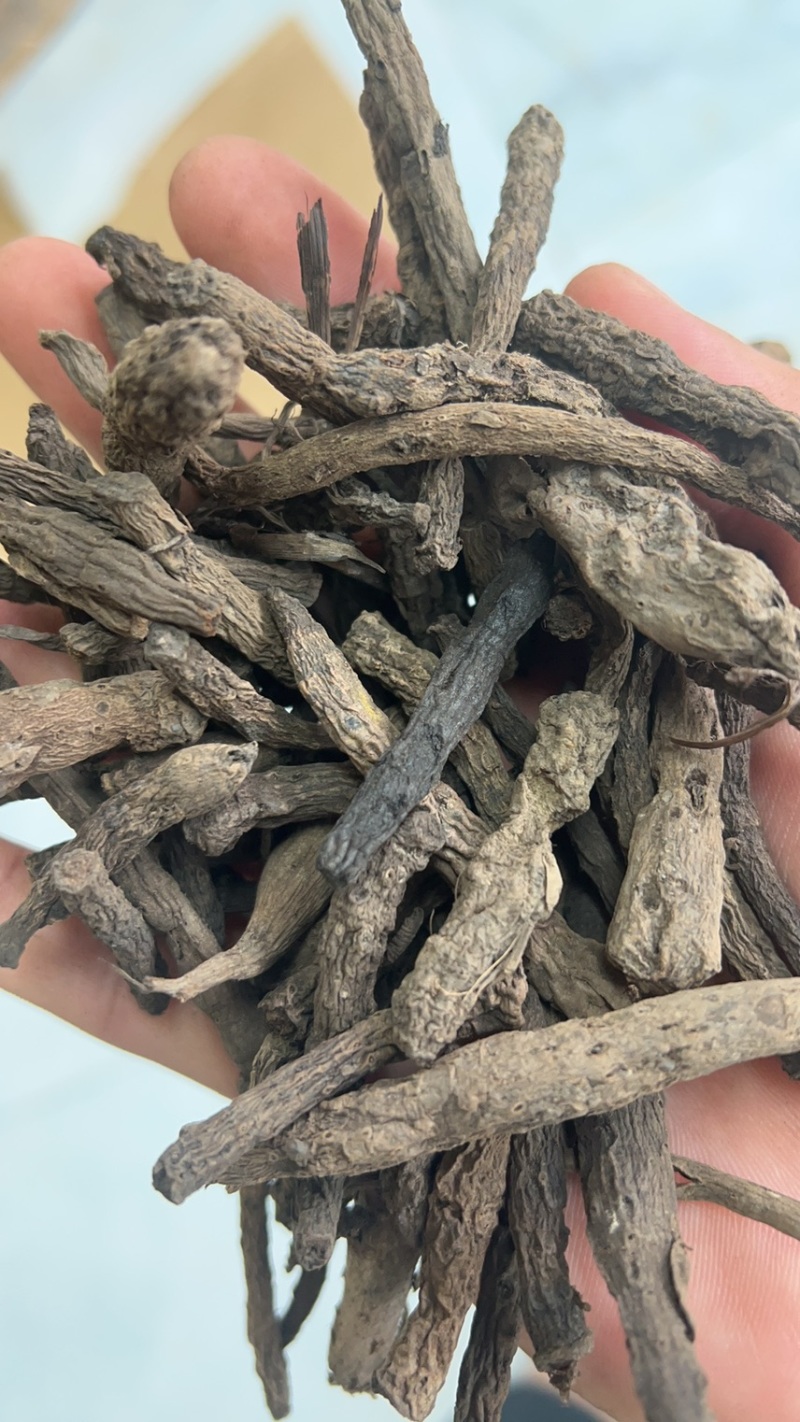 干货野生仙茅大量有货找有销量的客户大量