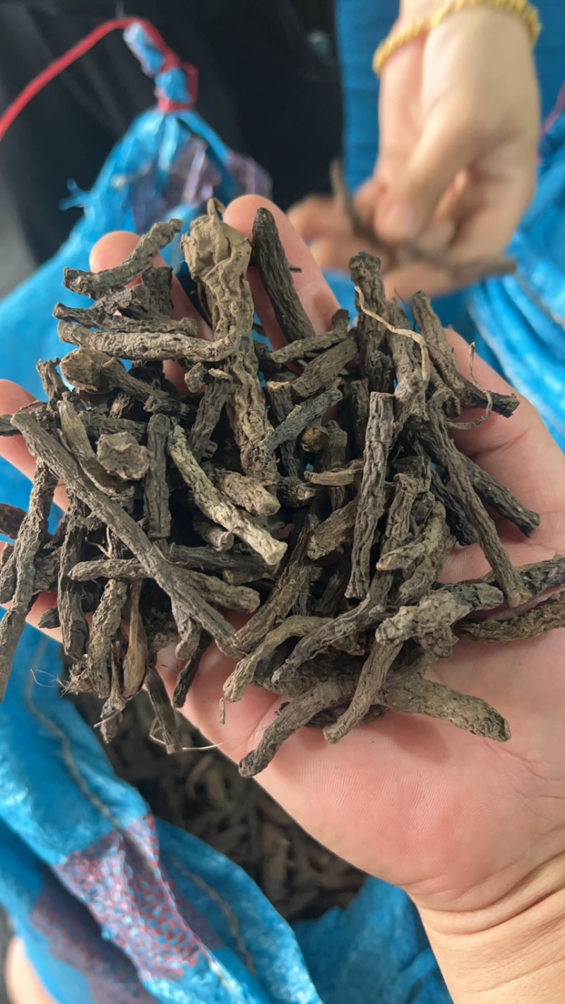 干货野生仙茅大量有货找有销量的客户大量