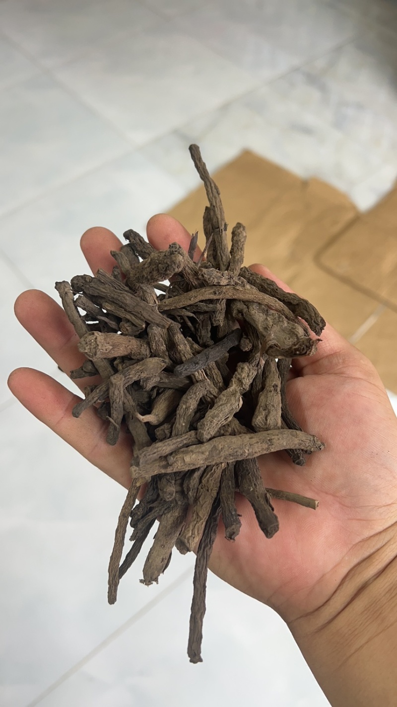干货野生仙茅大量有货找有销量的客户大量