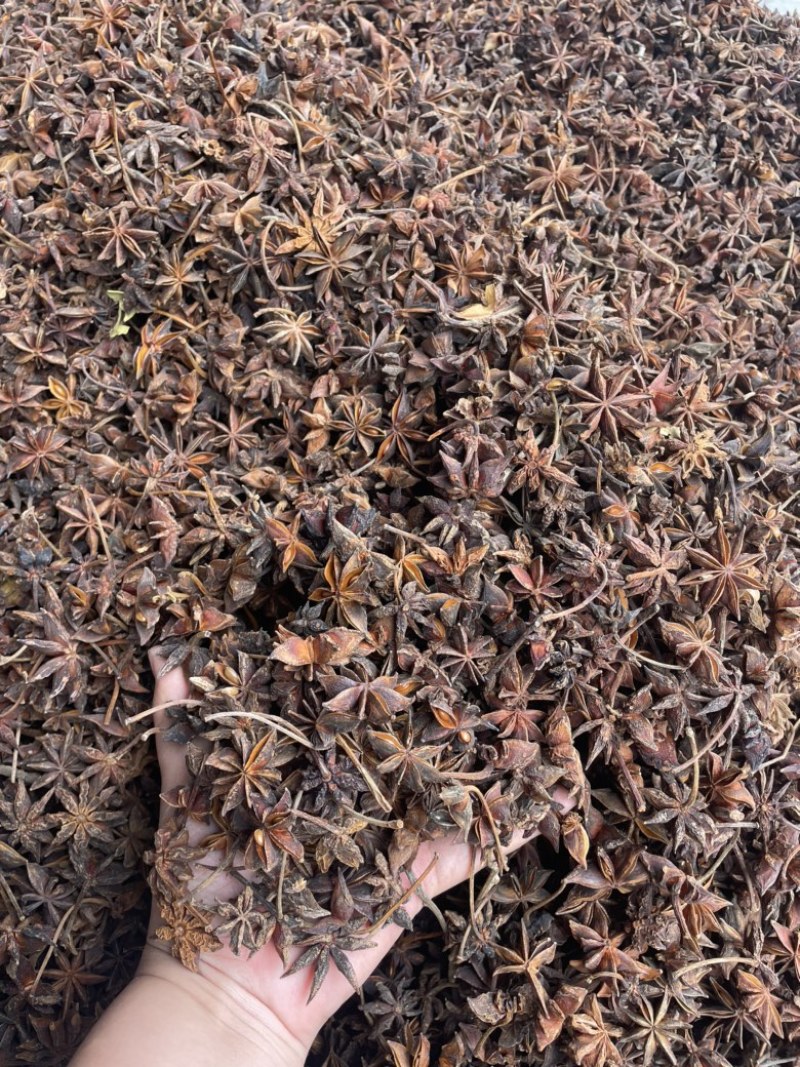广西新货大红八角大量上市，各规格齐全量大优惠