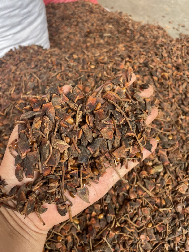 广西新货大红八角大量上市，各规格齐全量大优惠