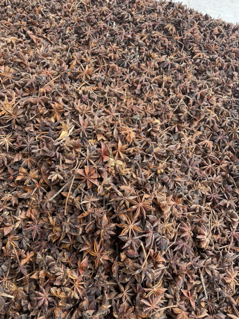 广西新货大红八角大量上市，各规格齐全量大优惠