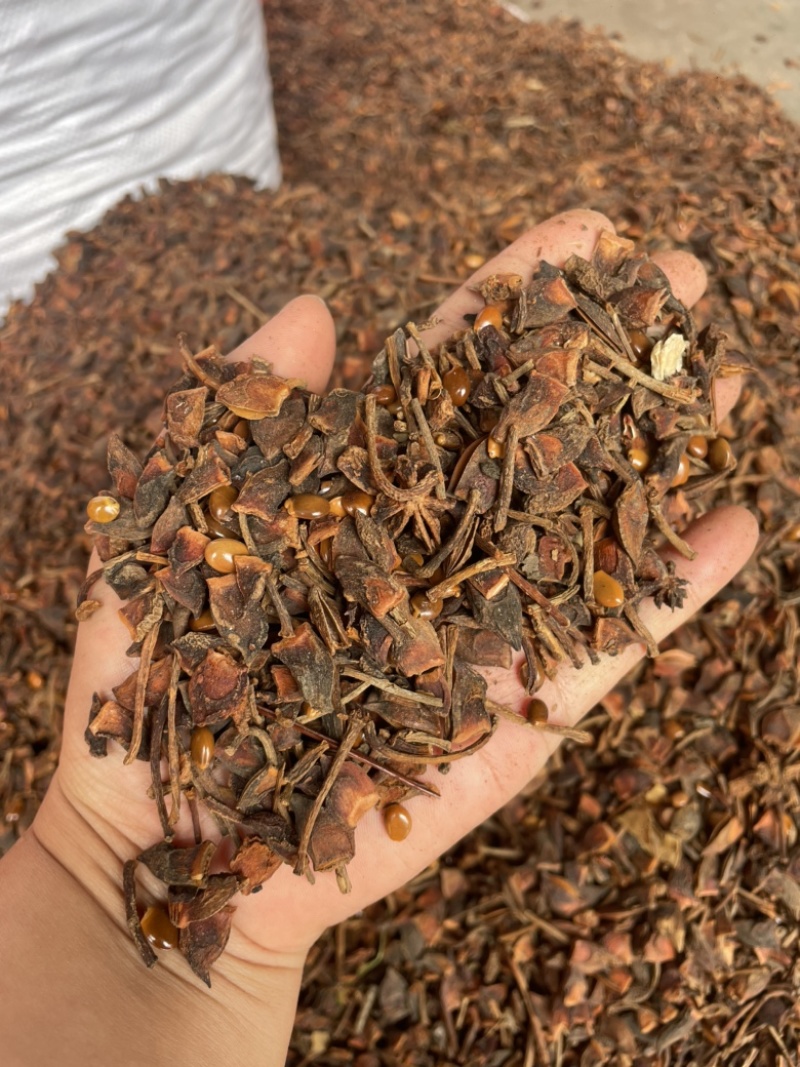 广西新货大红八角大量上市，各规格齐全量大优惠