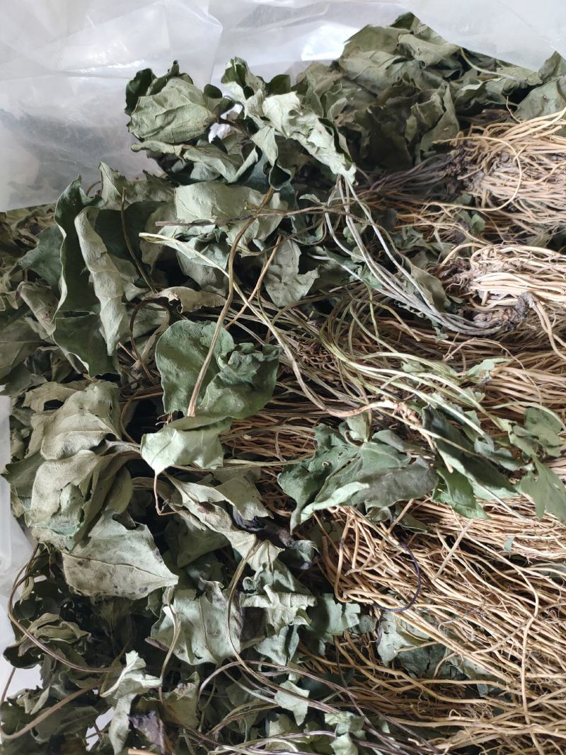 细辛，高山生长的野细辛，香味浓