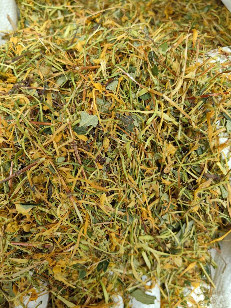 山银花