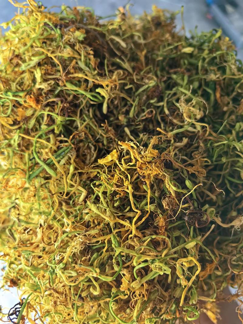山银花