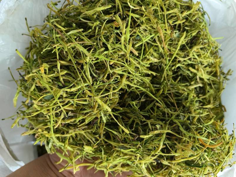 山银花
