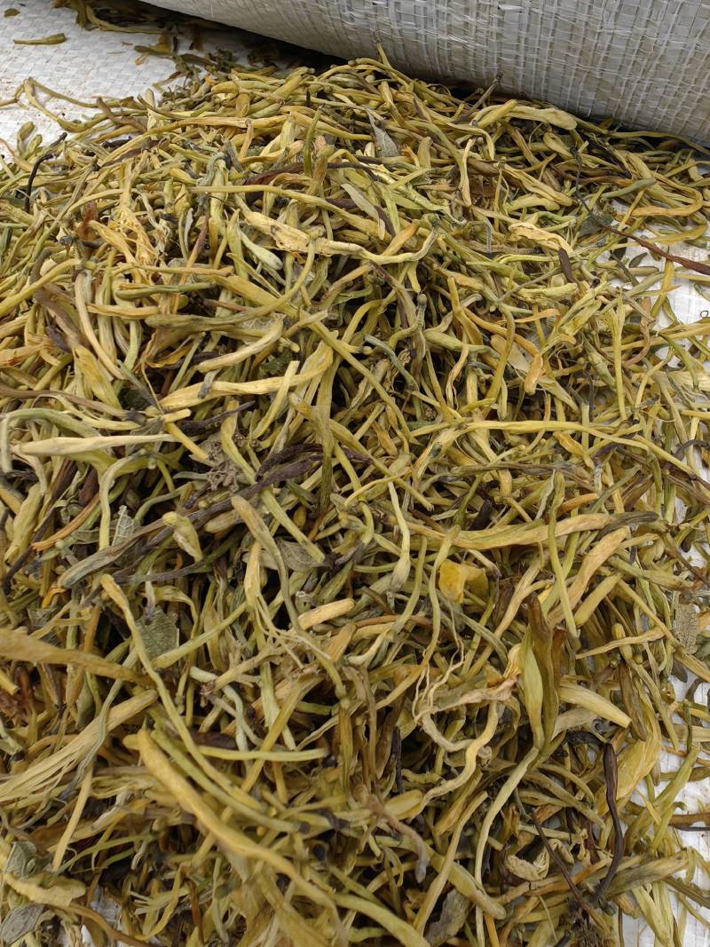 山银花
