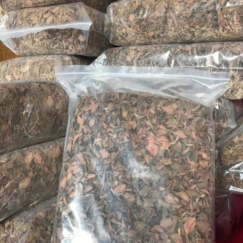 【金线莲】金线莲干度颜色好无碎林下种植一手货源质量保证