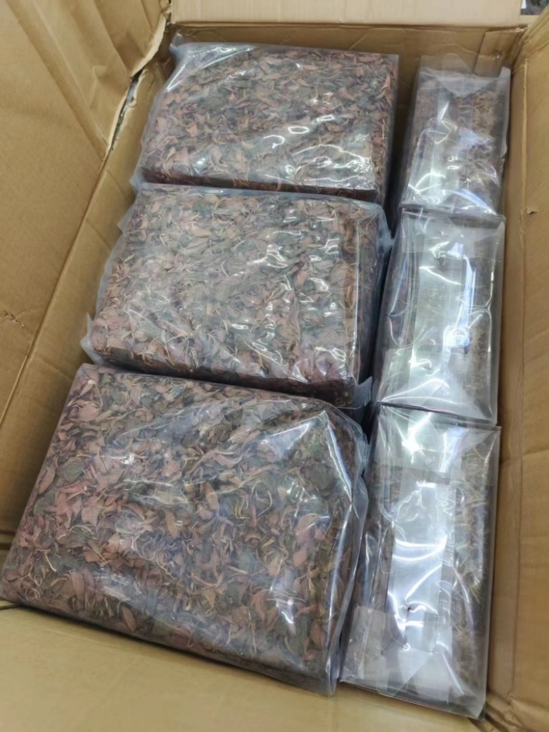 【金线莲】金线莲干度颜色好无碎林下种植一手货源质量保证