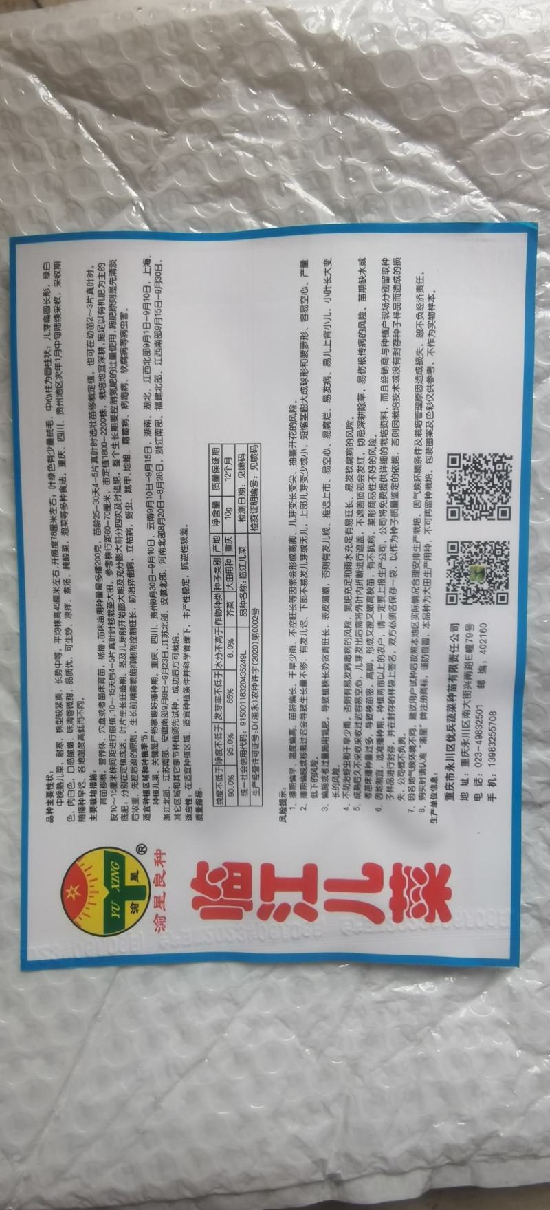 儿菜种子临江儿菜中晚熟大棵型高产优质儿菜脆甜品质好
