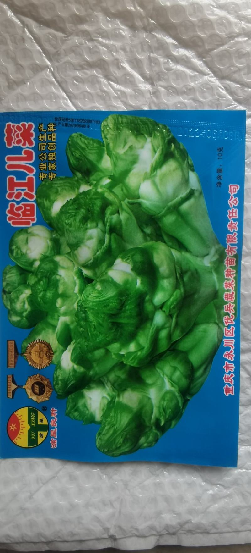 儿菜种子临江儿菜中晚熟大棵型高产优质儿菜脆甜品质好