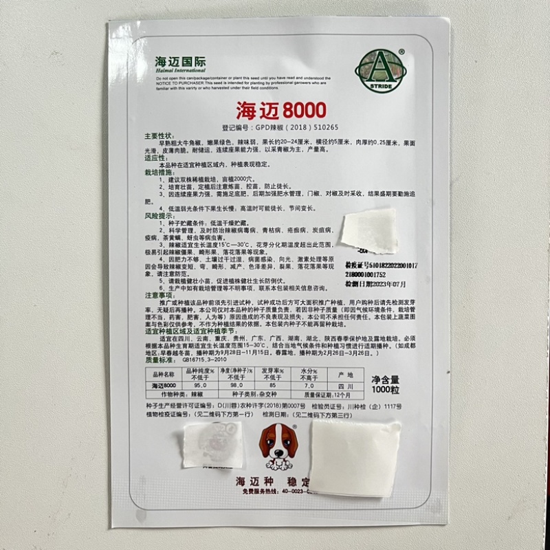 汤老师13号牛角椒种子大果薄皮品种种子早熟品种