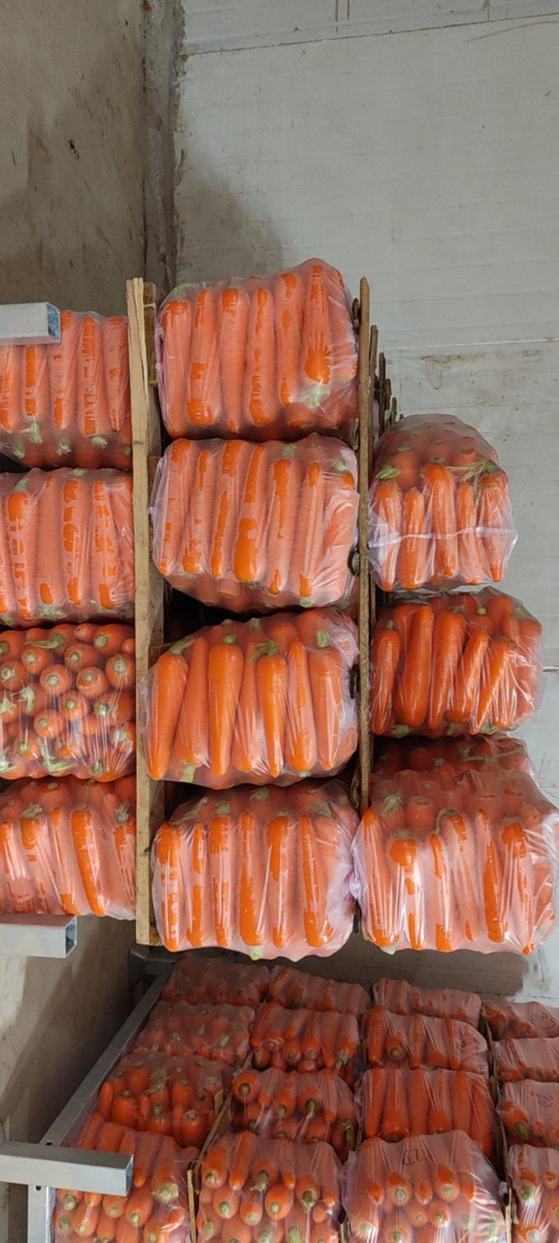 河北水洗三红红萝卜，三红胡萝卜支持各种包装规格可视频看货