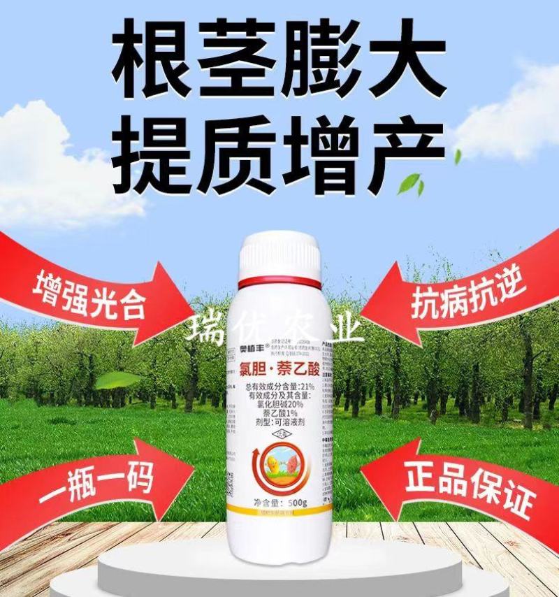 氯化胆碱萘乙酸植物生长调节剂地下膨大专用剂膨大剂大蒜土豆