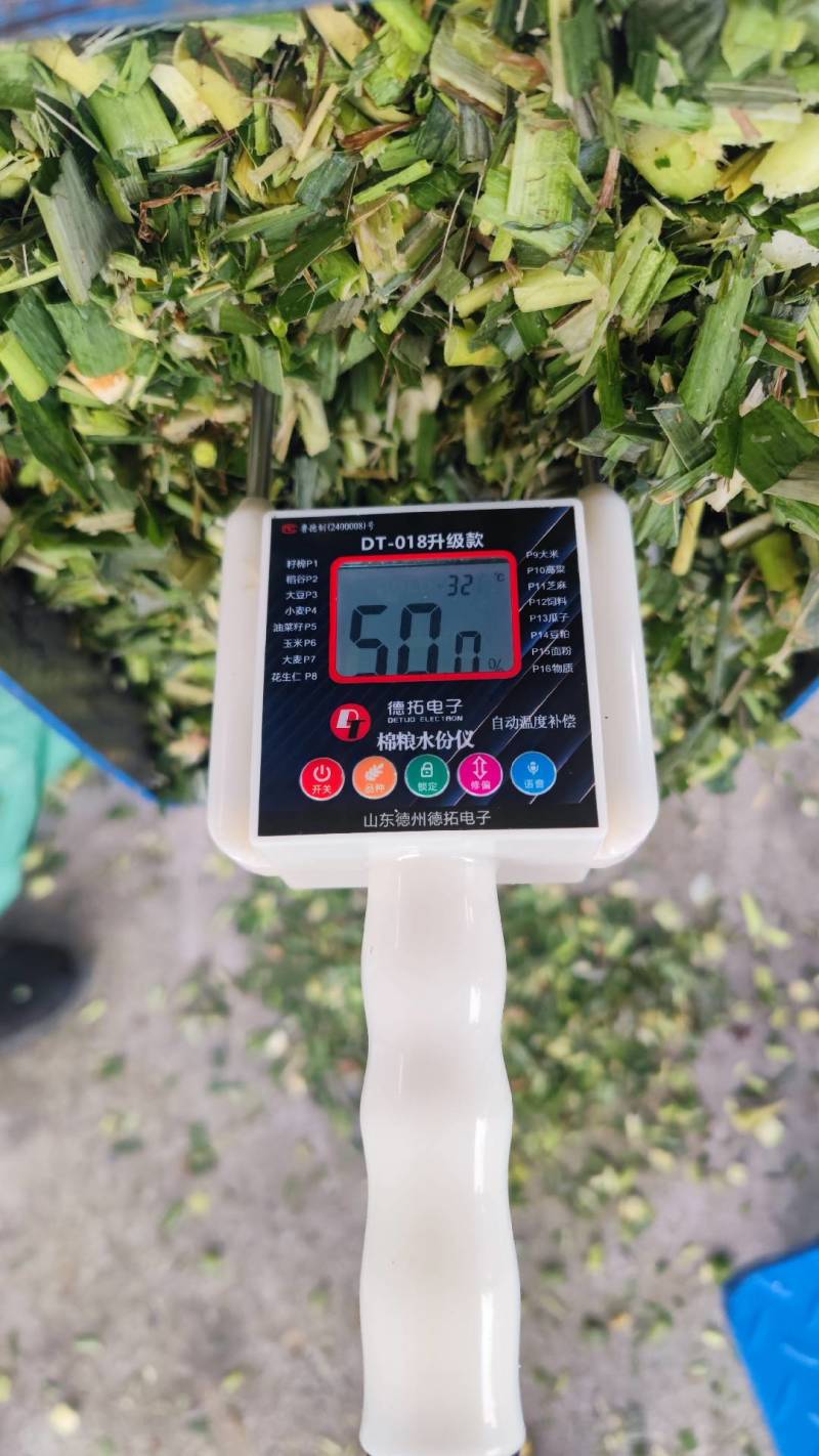 3万吨青储牧草牛羊发酵饲料