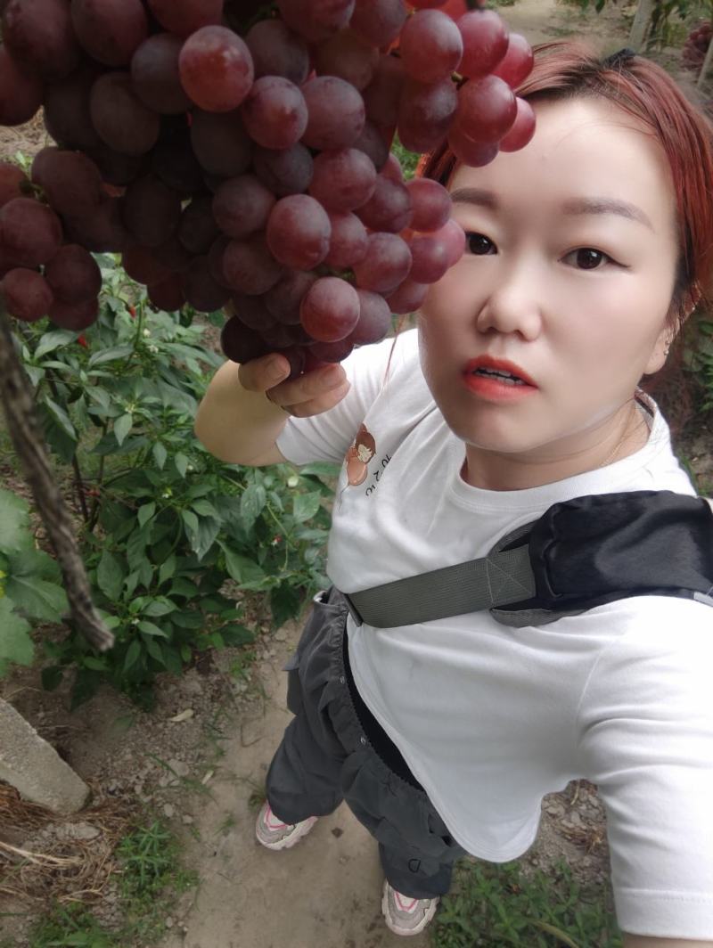 资源县的红提，上市啦，还有罗汉果，有需要的联系我