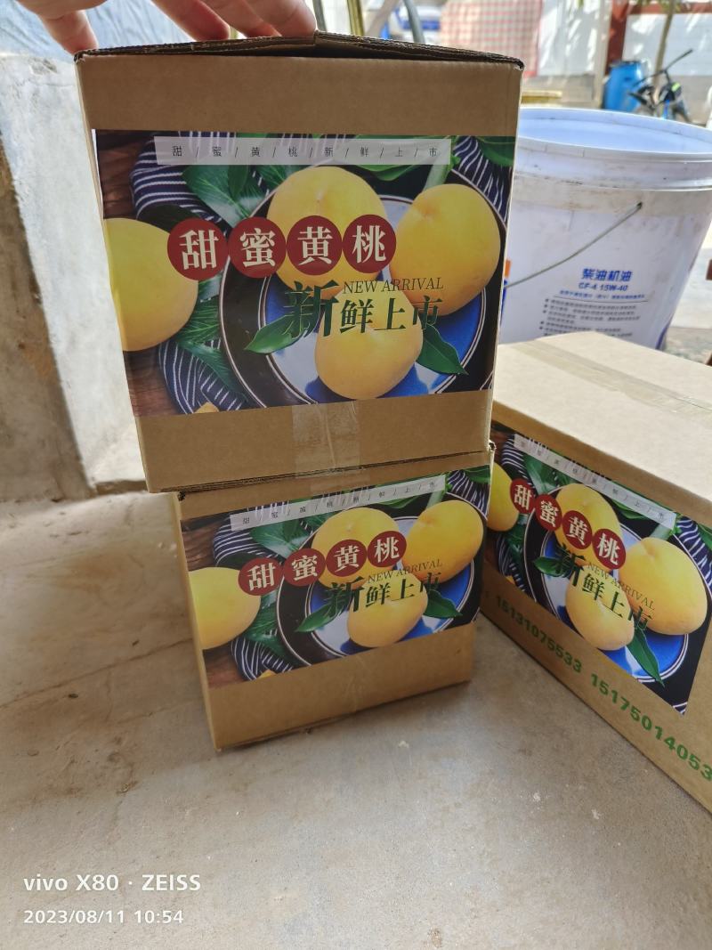 精品黄桃，大量上市，口感纯正香甜，量大优惠，需要联系
