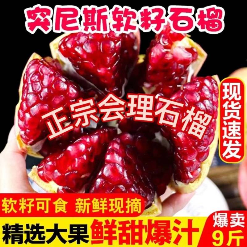会理突尼斯软籽石榴