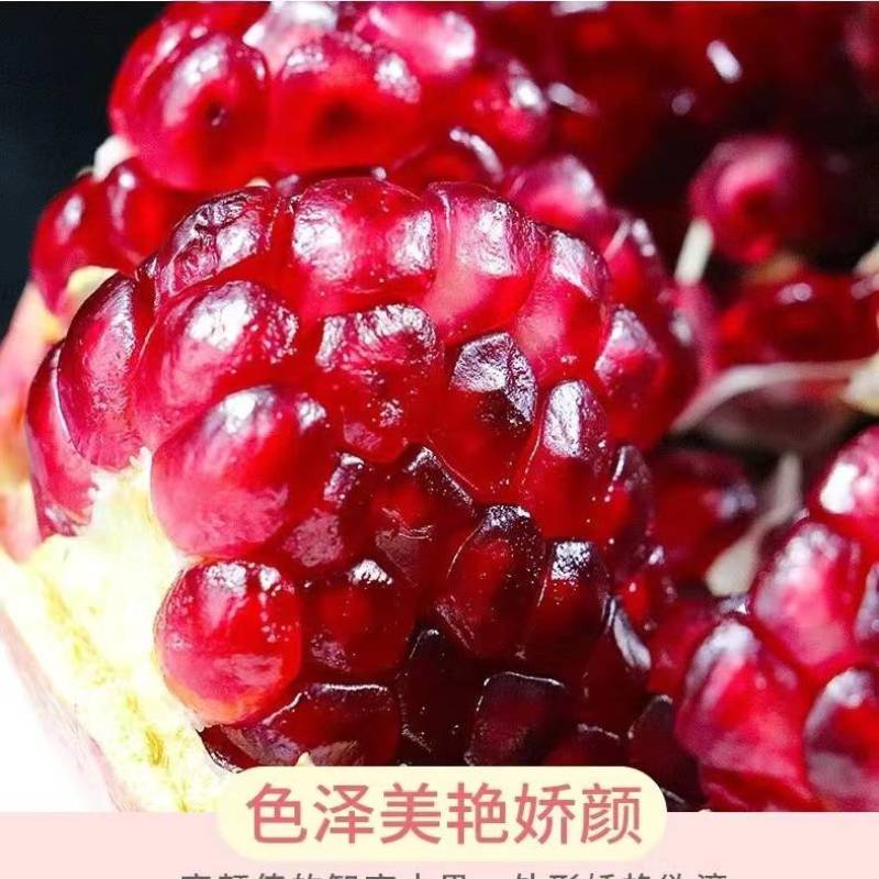 会理突尼斯软籽石榴