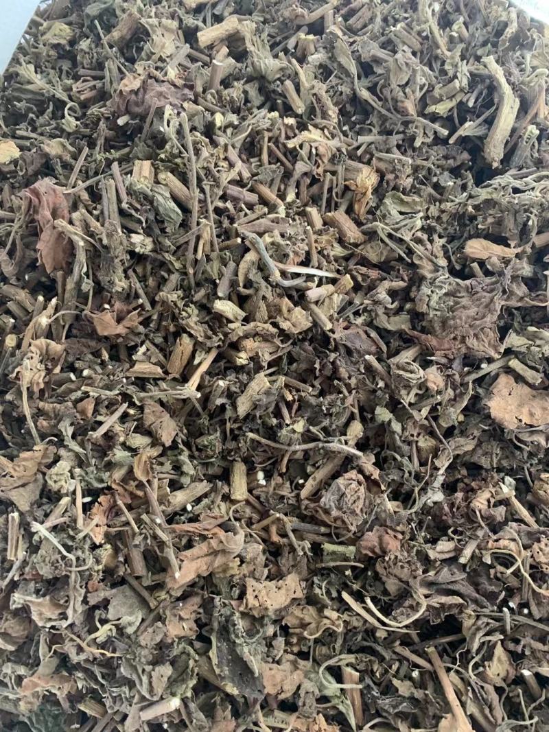 广藿香带叶茎杆