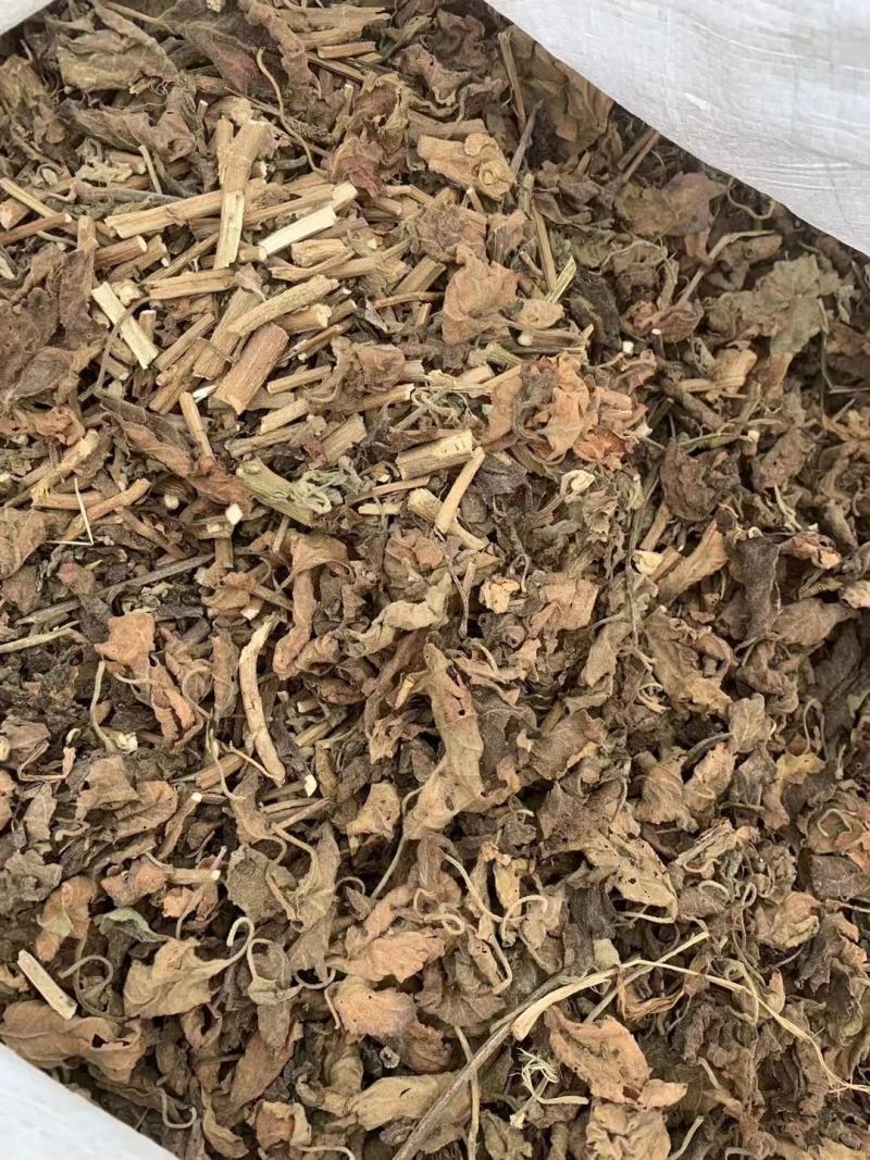 广藿香带叶茎杆