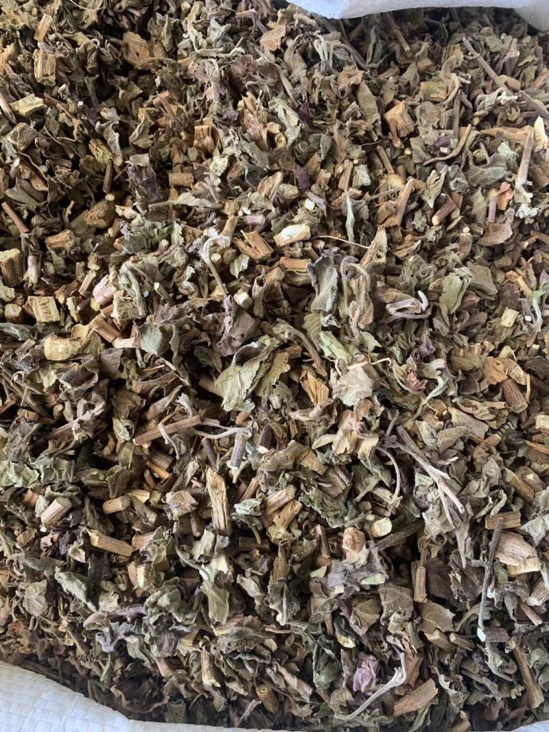 广藿香带叶茎杆