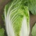 大白菜上市中，精品黄心大白菜，