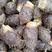 广西荔浦芋头大量上市货源充足质量保证全国代发货