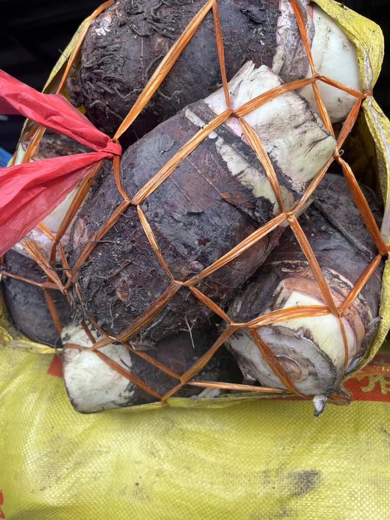 广西荔浦芋头大量上市货源充足质量保证全国代发货