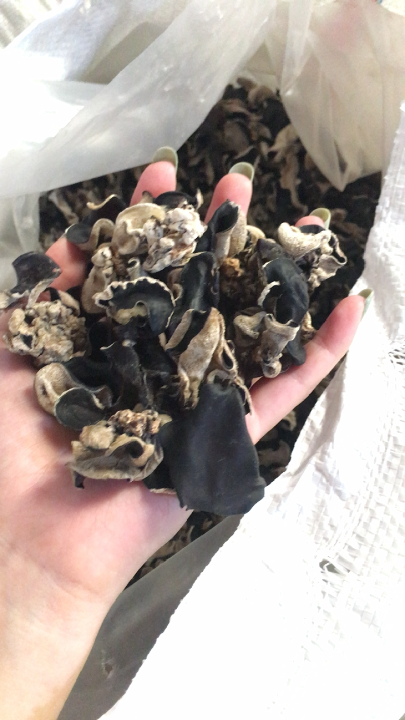 小三茬毛木耳黑木耳饭店食堂专用木耳地摊跑量木耳干货