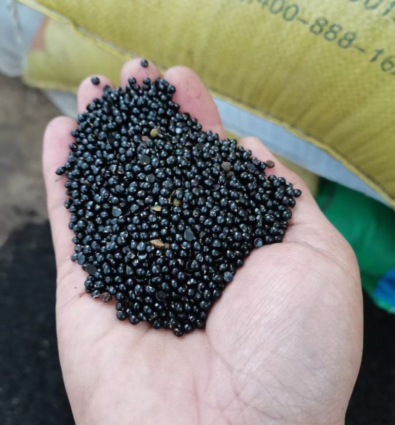 花椒子