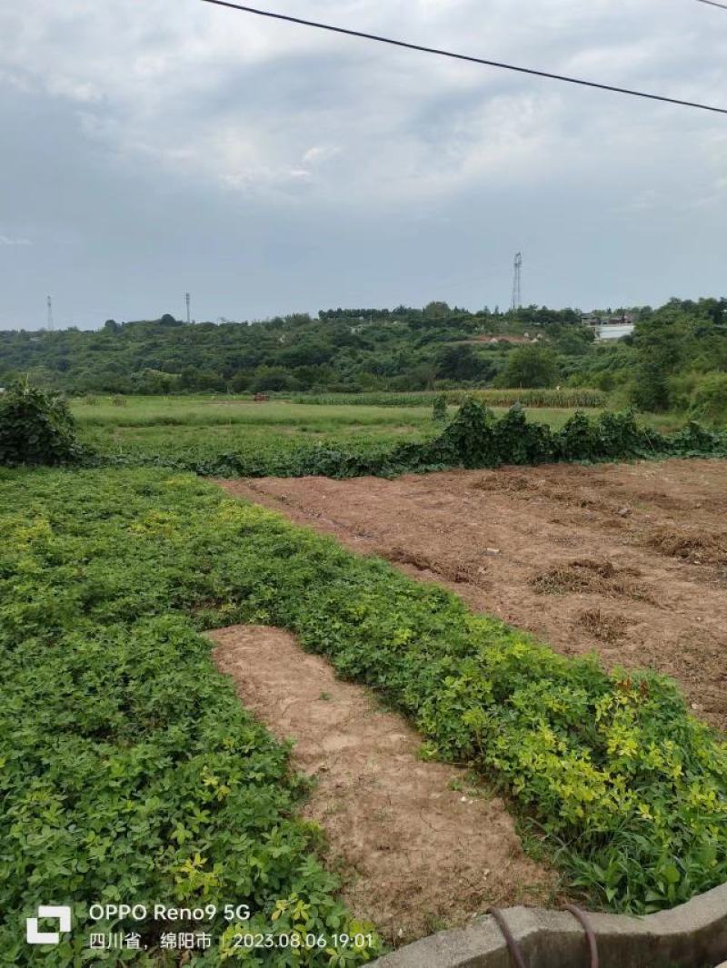 绵阳龙门大棚及设施转让