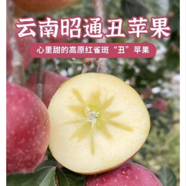 正宗云南丑苹果，纯甜无酸香味浓郁嘎嘭脆，大量上，量大从优