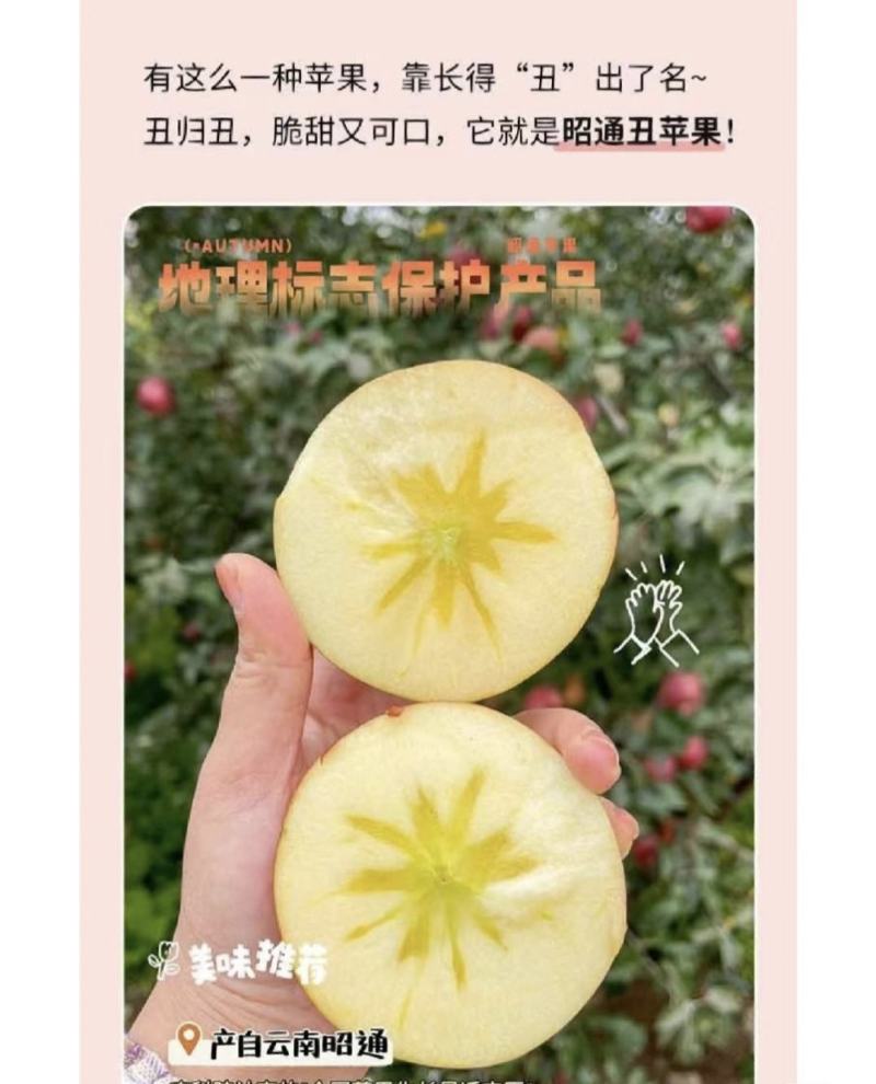 正宗云南丑苹果，纯甜无酸香味浓郁嘎嘭脆，大量上，量大从优