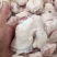 新鲜冷冻猪脚圈猪蹄厂家直发质量保证规格全