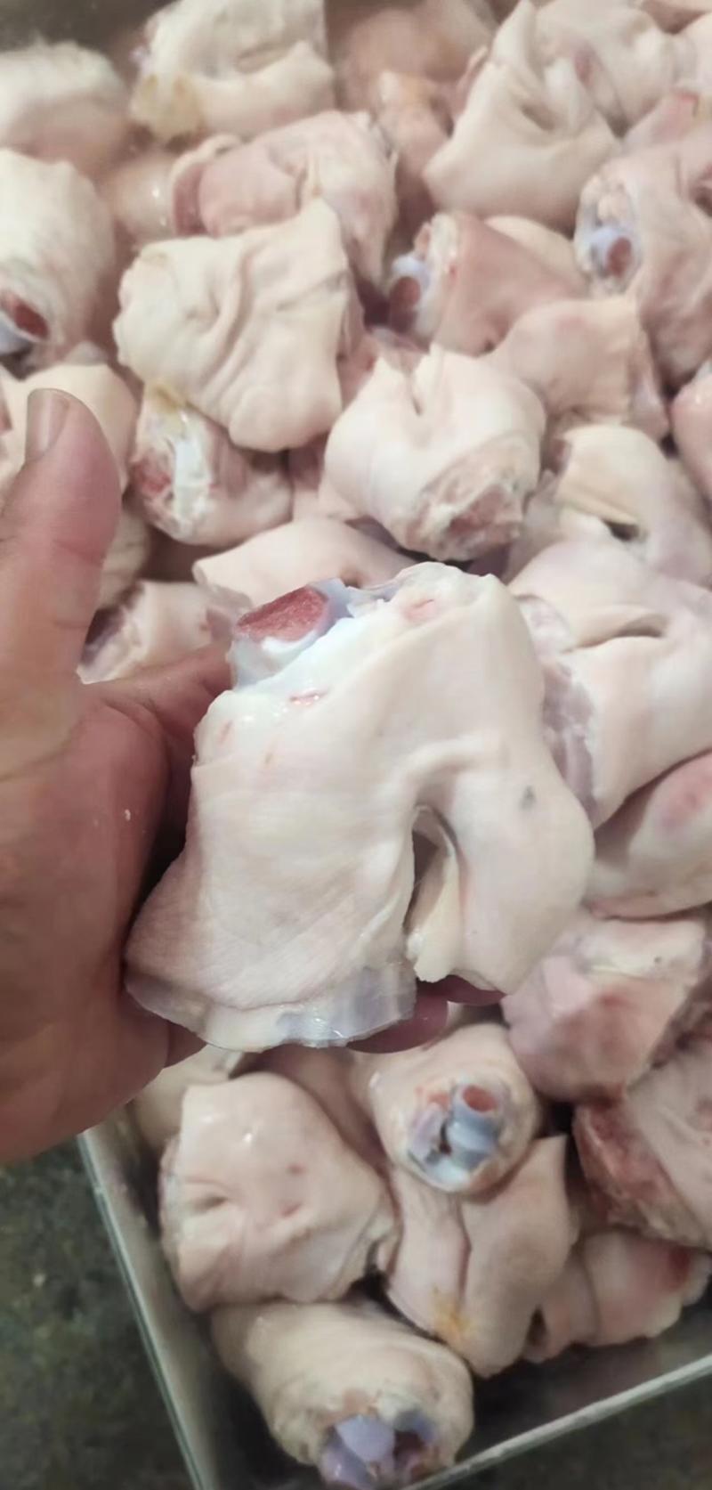 新鲜冷冻猪脚圈猪蹄厂家直发质量保证规格全
