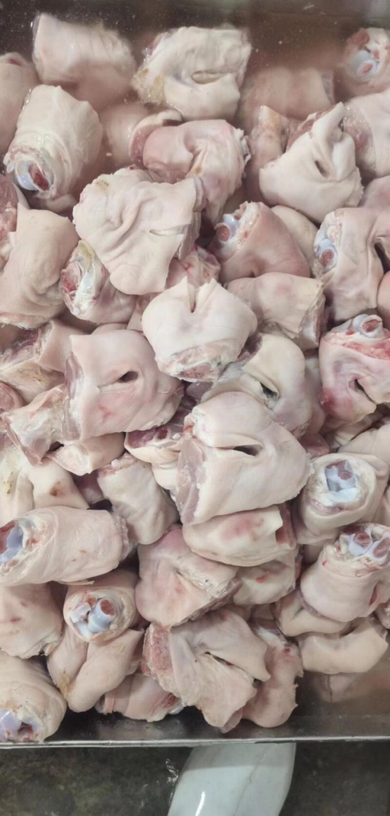 新鲜冷冻猪脚圈猪蹄厂家直发质量保证规格全