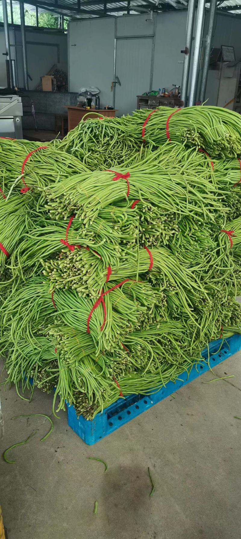 安徽黄山土缸豆干