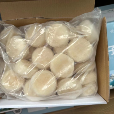 雪花带子日料食材个大肉厚鲜美弹嫩海鲜水产冷冻带子