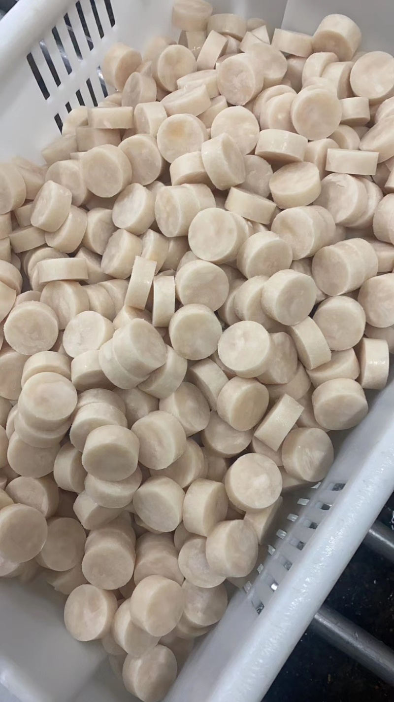 雪花带子日料食材个大肉厚鲜美弹嫩海鲜水产冷冻带子