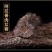 包邮）20鞭王100味豪华泡酒料中老年养生人参玛卡灵芝
