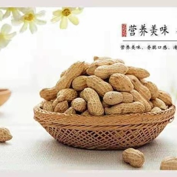生花生