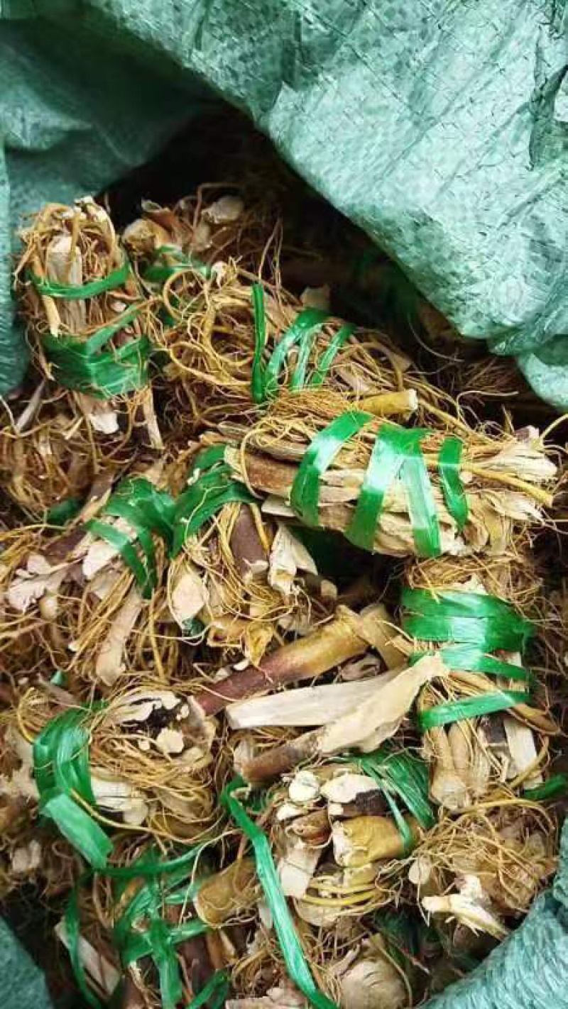产地直销野生白花牛奶根无硫干货小扎把长扎把（精品）