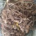 产地直销野生白花牛奶根无硫干货小扎把长扎把（精品）