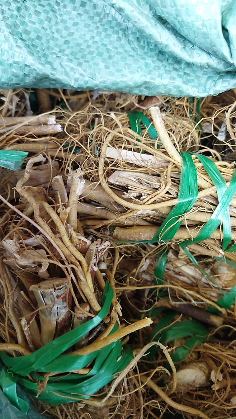 产地直销野生白花牛奶根无硫干货小扎把长扎把（精品）