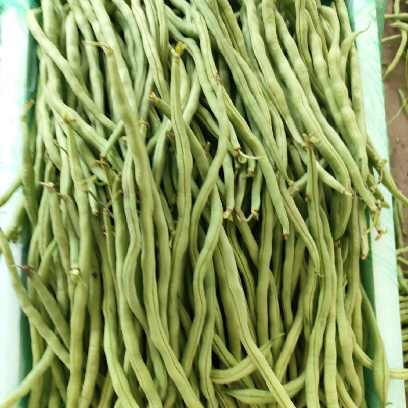 豆子