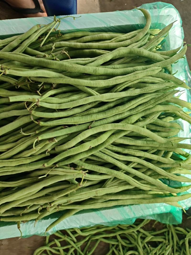 豆子